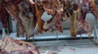 Bakıda külli miqdarda mənşəyi məlum olmayan ət aşkarlandı