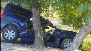 Şəkidə minik avtomobili ağaca çırpıldı, sürücü və azyaşlı öldü   - YENİLƏNİB