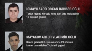 Nazir Orxanla Arturun vəfatından yazdı