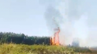 Sabirabadda yanğın törədən şəxs məsuliyyətə cəlb edildi - FOTO