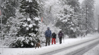 45 dərəcə şaxta olacaq - Xəbərdarlıq edildi 