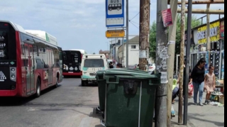 Bakıda sxem əsasında qoyulmuş, dayanacağı zəbt edən zibil qabları  - VİDEO
