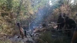 Nabranda meşə və meşəətrafı zonada baş verən yanğın söndürülüb  - VİDEO