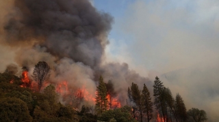 Ukrayna meşə yanğınlarına görə Türkiyəyə təyyarə göndərəcək