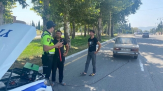 Şəmkirdə “Təmiz hava” aylığı ilə əlaqədar tədbirlər davam etdirilir - FOTO 