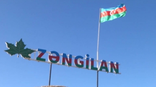 Ermənilər Zəngilanda qədim çinar meşələrini məhv edib  - VİDEO