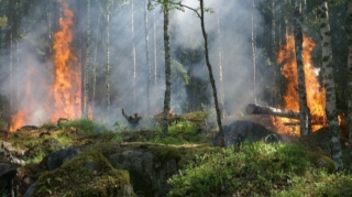 Şabranda yanğınların söndürülməsinə amfibiya təyyarəsi, 2 helikopter cəlb olunub - YENİLƏNİB - FOTO - VİDEO 