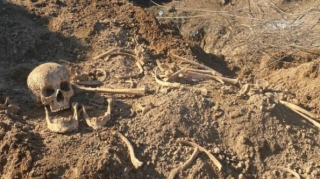 Ağdamda insan sümüklərinə oxşar skelet qalıqları tapıldı 