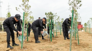 Daxili İşlər Nazirliyinin əməkdaşları Xəzər rayonunda ağacəkmə kampaniyası keçiriblər   - FOTO