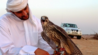 Ərəb turistlər nə qədər cərimələnib? - RƏSMİ 