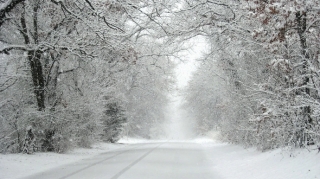 Hava kəskin dəyişir, bəzi ərazilərdə qar yağacaq - XƏBƏRDARLIQ 