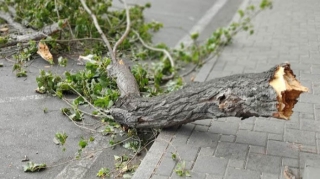 Bakı küçəsində külək olayı  - FOTO