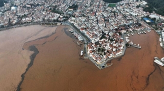 Dənizin suyu bir anda qəhvəyi oldu  - FOTO