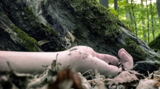 Astarada meşədə adam öldürməyə cəhd edən gənc həbs edildi