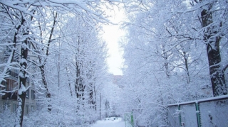 Qaxa 75 sm qar yağdı - FAKTİKİ HAVA 