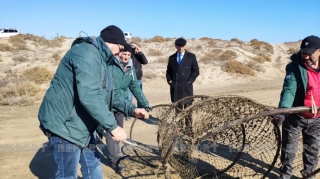 Salyanda brakonyerlərə qarşı reyd keçirilib