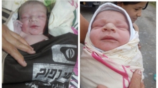 Ucarda idarənin həyətində yeni doğulmuş uşaq tapılıb  - FOTO