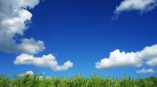 Sabahın hava proqnozu açıqlanıb 