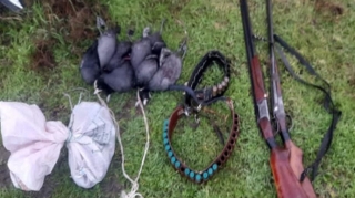 Şabranda qanunsuz ov edən şəxslər saxlanılıblar   - FOTO