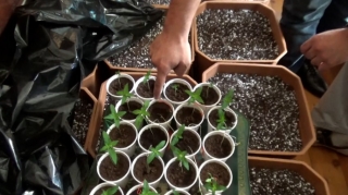 Polis əməliyyatlar keçirib, 13 nəfər saxlanılıb, 27 kq narkotik götürülüb   - VİDEO