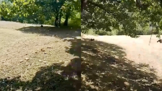 Şamaxıda qorunan ziyarətgahdakı antisanitar vəziyyət aradan qaldırıldı   - VİDEO