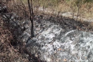 Ucarda nə baş verir?: Bu kənddə naməlum yanğınlar olur - VİDEO