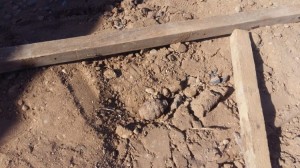 Bakıda dəmiryolu stansiyasında qumbara tapılıb