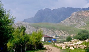 Şamaxıda film kimi olay - Ailə kəndi tərk etdi, amma qan davası bitmədi