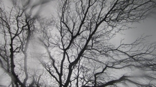 Sabahın hava proqnozu açıqlanıb 