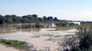 Kür çayı məcrasından çıxdı:  Sabirabad sakinləri çətin vəziyyətə düşdülər - VİDEO 