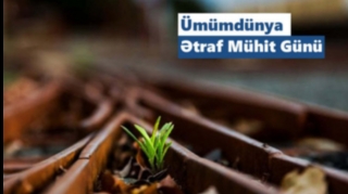 ADY ətraf mühitin qorunması istiqamətində fəaliyyətini genişləndirir