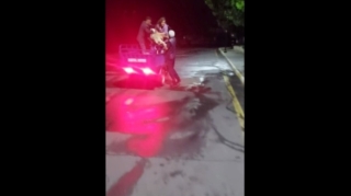 Zaqatala DƏHŞƏT:  İtləri belə güllələdilər  - VİDEO