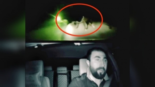 Ksenona görə gözü qamaşan sürücü yola çıxan inəyi vurdu - ANBAAN VİDEO 