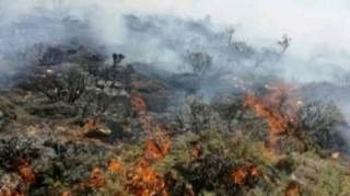 Ağsuda dağlıq ərazidə 10 hektar sahə yanır