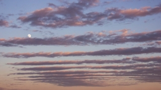 Sabahın hava proqnozu açıqlanıb 