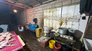 Bu toyuq kəsimi sexinin fəaliyyəti dayandırırldı  – Gigiyenik tələblərə ... - VİDEO 