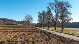 Göygöldə torpaq davası: İki qardaş döyüldü 
