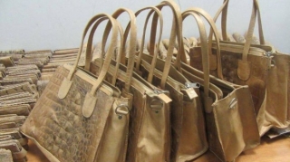 İş adamı timsah və ilan dərisindən hazırlanmış qaçaqmalla saxlanıldı - FOTOLAR 