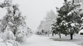 Bu rayonlara qar yağır - Faktiki hava 