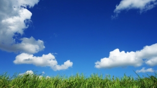 Sabahın hava proqnozu