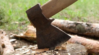 Təbiətə 63 min manatlıq ziyan vuruldu 