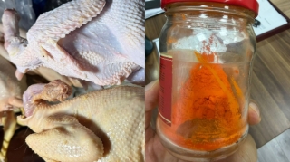 Azərbaycanda “kənd toyuğu” görünüşü verilən toyuqlar satılır – MÜTƏXƏSSİSDƏN XƏBƏRDARLIQ 