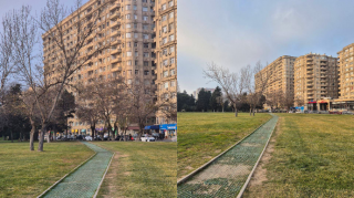 İnsanların yaşıllıqlarda açdıqları cığırları təhlükəsiz səkiyə çevirmək mümkündür - FOTO 