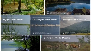 İstirahət günlərində milli parklarda gözlənilən hava şəraiti açıqlanıb