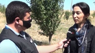 Cəbhədə son vəziyyət: Ombudsman Tovuzdadır - VİDEO 