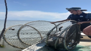 Qanunsuz balıq ovlayan şəxslər cəzalandırılıb   - FOTO