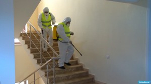 İş otaqlarında, dəhlizlərdə, pilləkənlərdə və foyelərdə... koronavirus - FOTOLAR