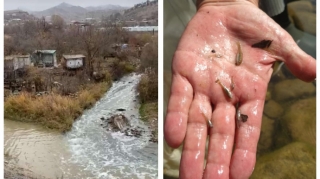 Oxçuçayın ekoloji bərpası istiqamətində təkliflər hazırlanır