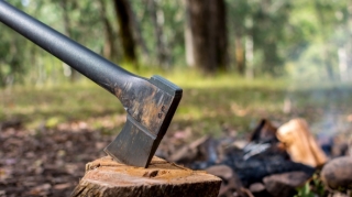 Qusarda ağac kəsən şəxs cəzalandırılıb