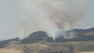Ağsu aşırımındakı yanğın söndürüldü 